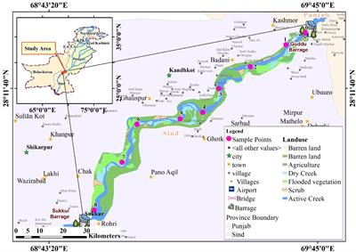 Unveiling concentrations of trace elements in the Lower Indus River: risks to aquatic life and human health